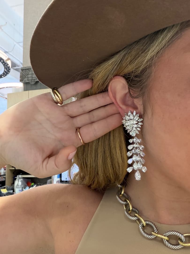 Earrings